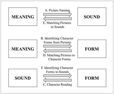 The early language gap between first- and second-language learners: acquisition of Chinese characters among preschoolers